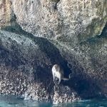 Фото отзыва  Юлия №2