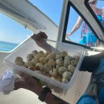 Фото отзыва  Юлия №3