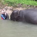 Фото отзыва Злата  №1