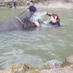 Фото отзыва Злата  №2