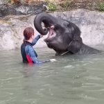 Фото отзыва Злата  №3