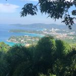 Фото отзыва Метелина Татьяна Николаевна №4