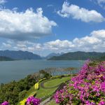 Фото отзыва Маргарита №5