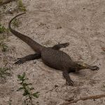 Фото отзыва IULIIA №3