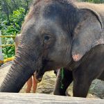 Фото отзыва Анастасия  №3