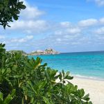 Фото отзыва Елена  №6