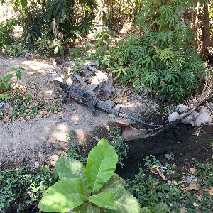 Фото отзыва Александра №2