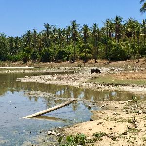 Фото отзыва Александра №3