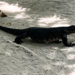 Фото отзыва Валентина №3