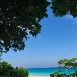 Фото отзыва Ольга №1