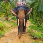 Фото отзыва Алла №1