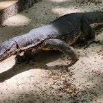 Фото отзыва Андрей №1