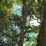 Фото отзыва Галина №1