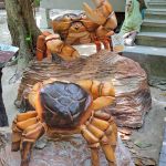 Фото отзыва Елена №1