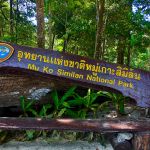 Фото отзыва Наташа №2