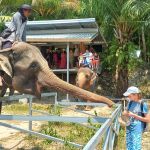 Фото отзыва Анна №1