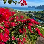 Фото отзыва Evgenii  №10