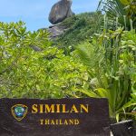 Фото отзыва Юлия №1