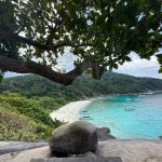 Фото отзыва Елена №2