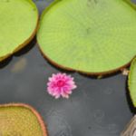 Фото отзыва Анна №1