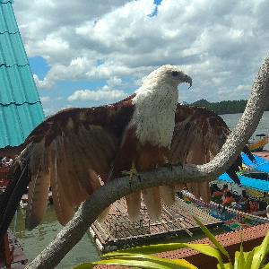 Фото отзыва Евгений  №1