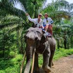 Фото отзыва Екатерина  №1