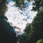 Фото отзыва Артём  №9