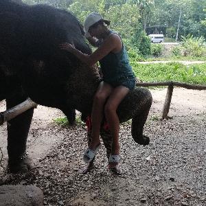 Фото отзыва Елена №2