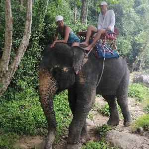 Фото отзыва Елена №3