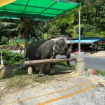 Фото отзыва Наталья №12