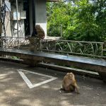 Фото отзыва Наталья №17