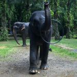 Фото отзыва Татьяна №6