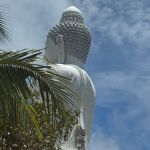 Фото отзыва Лана №1