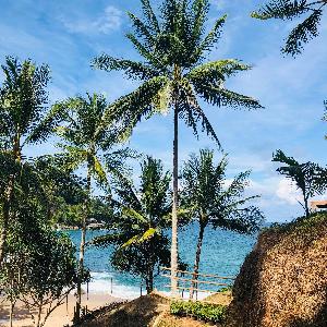 Фото отзыва Юрий и Екатерина  №1