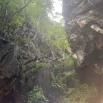 Фото отзыва Ольга  №1