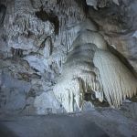 Фото отзыва Ольга  №3