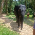 Фото отзыва Наталия №1