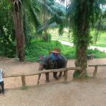 Фото отзыва Наталия №2