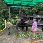 Фото отзыва Анастасия  №3