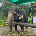 Фото отзыва Кристина №4