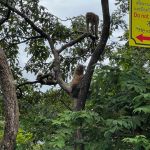 Фото отзыва Кристина №9