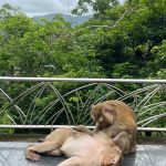 Фото отзыва Кристина №11