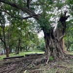 Фото отзыва Кристина №26