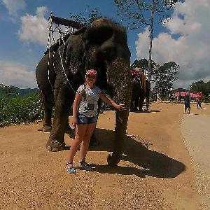 Фото отзыва Андрей №1