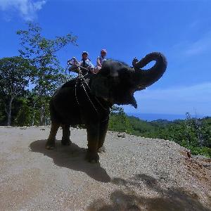 Фото отзыва Андрей №3