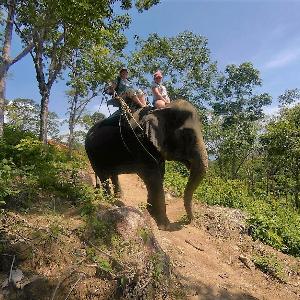 Фото отзыва Андрей №4