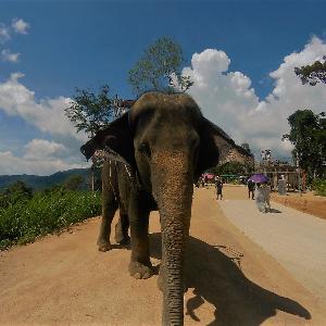 Фото отзыва Андрей №6