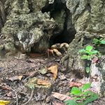 Фото отзыва Светлана  №2