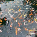 Фото отзыва Юлия №4