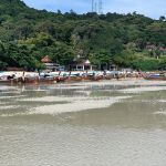 Фото отзыва Ольга  №3